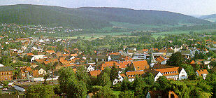 Blick ber den Ortskern vom Weinberg aus